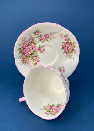 Royal Albert Tea Cup and Saucer. Blossom Time Series, Apple Blossom. Highly Collectible.