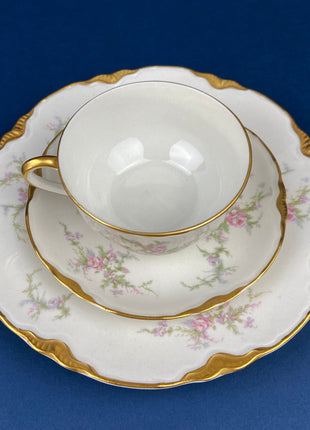 Antique Cup and Saucer. Warwick Tea or Coffee Set. Made in the USA. Delicate Cottage Rose Motif.