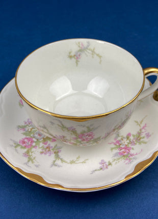 Antique Cup and Saucer. Warwick Tea or Coffee Set. Made in the USA. Delicate Cottage Rose Motif.
