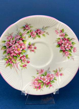 Royal Albert Tea Cup and Saucer. Blossom Time Series, Apple Blossom. Highly Collectible.