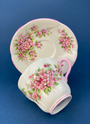 Royal Albert Tea Cup and Saucer. Blossom Time Series, Apple Blossom. Highly Collectible.
