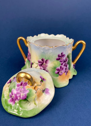 Vintage Porcelain Creamer and Sugar Jar. Bavarian, Gasser, Hand-Painted Violet Motif. Collectibles.