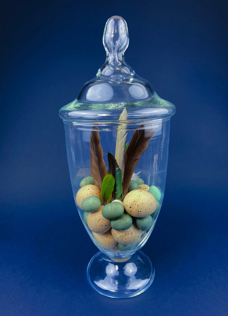 Large Lidded Apothecary with Eggs and Feathers. Alternative Spring/Easter Decor. Footed, Glass Storage Jar. Table Centerpiece. Shabby Chic.
