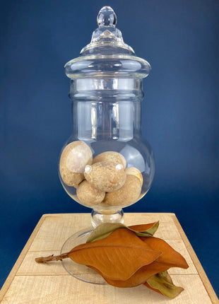 Large Lidded Apothecary with Eggs and Feathers. Alternative Spring/Easter Decor. Footed, Glass Storage Jar. Table Centerpiece. Shabby Chic.