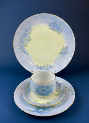 Antique Bavarian Cup and Saucer Forget Me Not pattern