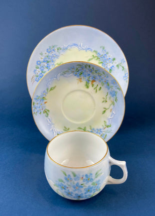 Antique Bavarian Cup and Saucer Forget Me Not pattern