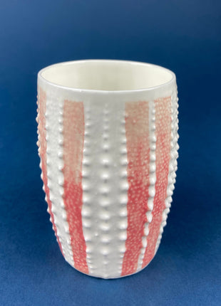 Belleek Cup and Saucer. Sea Shell Pattern Tea Set Made of Dainty Porcelain in Ireland. Antique Reg 0857.