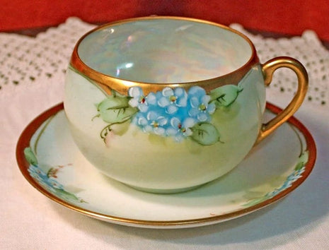 Antique Hutschenreuther Cup and Saucer with Hand Painted Forget Me Not Flowers.
