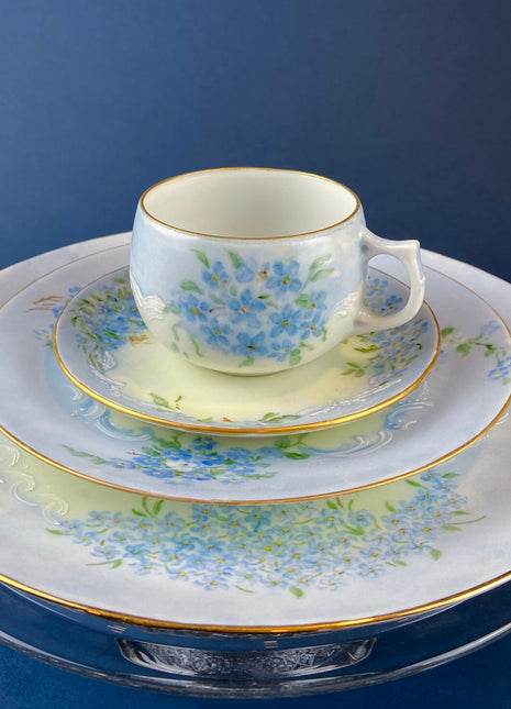 Salad or Bread or Display Plates by Silesia. Set of Four Hand Painted Plates with Forget Me Not and Gold Rim. European Porcelain Plates.