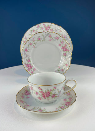 Antique Hutschenreuther Porcelain Tea Set. Teapot, Sugar Jar, Creamer, 2 Small Dessert Plates, and Set of 5 Tea Cups/Saucers. Rose Motif.
