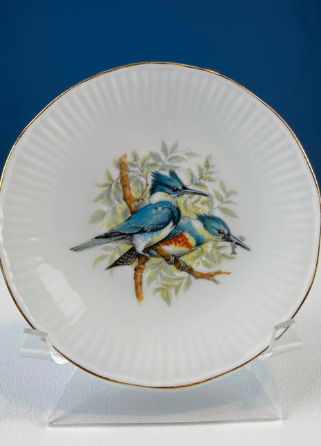 Vintage Cup and Saucer with Blue Birds. Queens's Fine Bone China. Birds of America. Pair of Kingfishers. Gift for Dad, Fisherman, Bird Lover