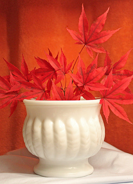 Milk Glass Vase or Plant Pot by Randall. Milk Glass Vase with Wheat Pods Design. Milk Glass Planter.