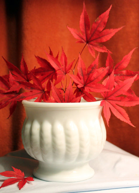 Milk Glass Vase or Plant Pot by Randall. Milk Glass Vase with Wheat Pods Design. Milk Glass Planter.