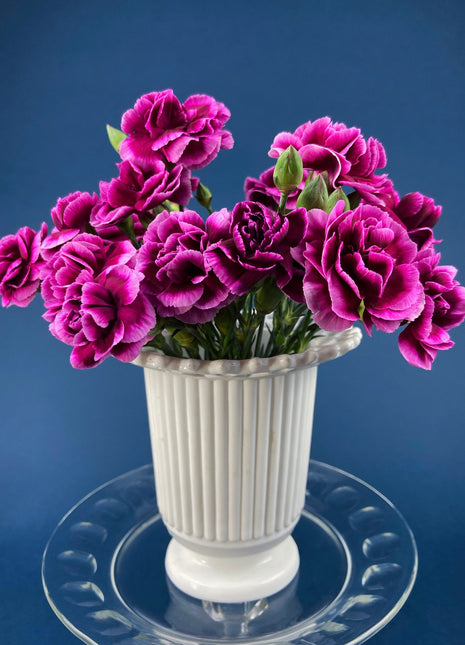 Antique Atterbury Milk Glass Ribbed Vase Planter with Sailor Lace Rim