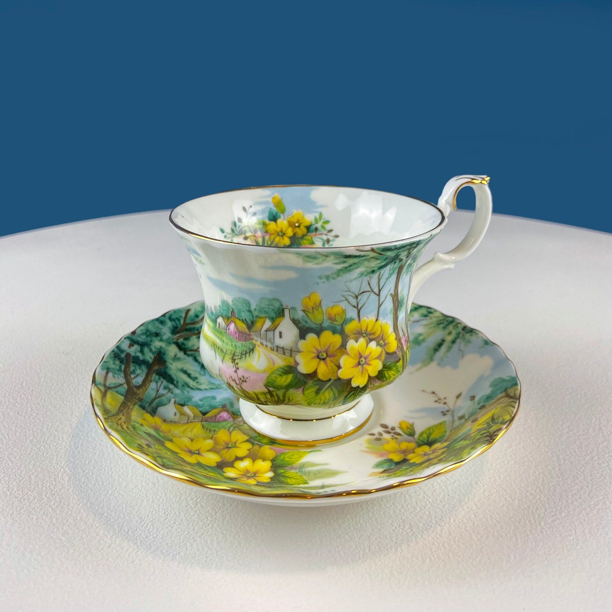 Royal Albert Cup and Country Primrose Hill