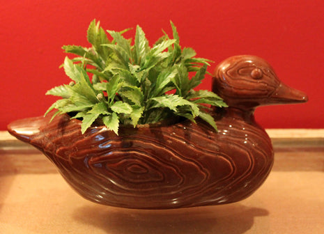 Pottery Planter. Duck Figurine Planter or Trinket Dish