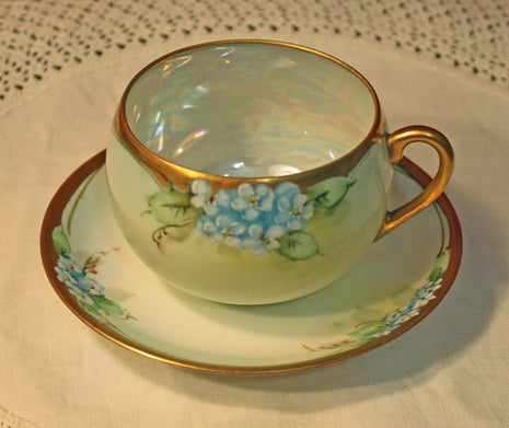 Antique Hutschenreuther Cup and Saucer with Hand Painted Forget Me Not Flowers.