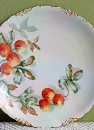 Decorative Plate. Plate with Hand Painted Cherries and 22 Karat Gold Rim Decor. Fine Bavarian Porcelain by R.C. Versailles.